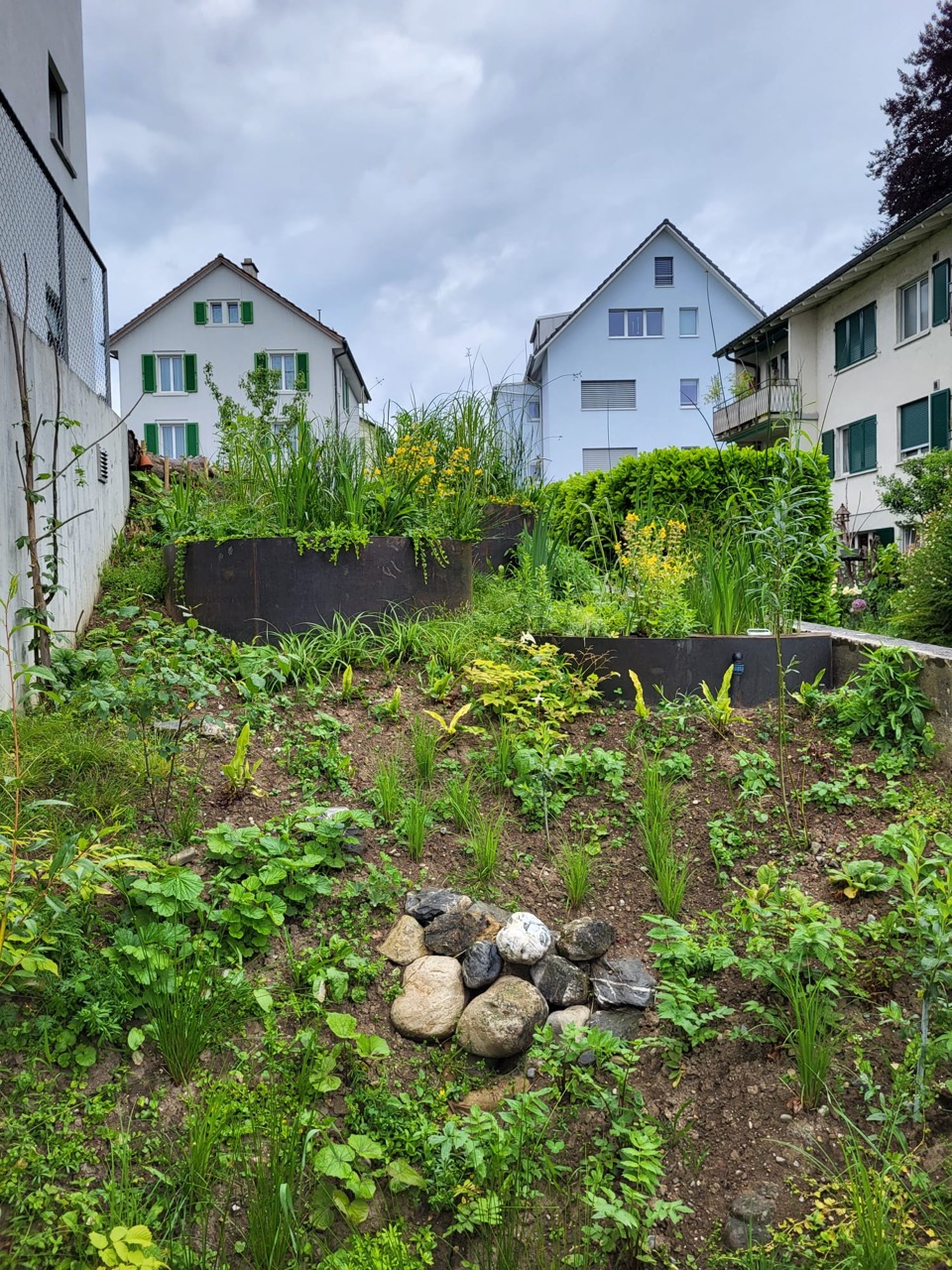 Pflanzenkläranlage verECO für Moers und Umgebung