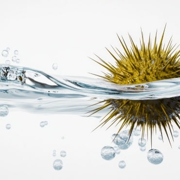Wasserinstallation Moers - Maßnahmen zur Hygiene Sicherstellung